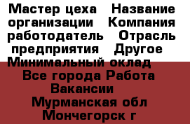 Мастер цеха › Название организации ­ Компания-работодатель › Отрасль предприятия ­ Другое › Минимальный оклад ­ 1 - Все города Работа » Вакансии   . Мурманская обл.,Мончегорск г.